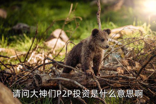 什么是p2p投資，請(qǐng)問大神們P2P投資是什么意思啊