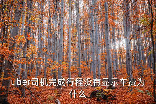 uber為什么不顯示價(jià)格，優(yōu)步叫車前看不到價(jià)格