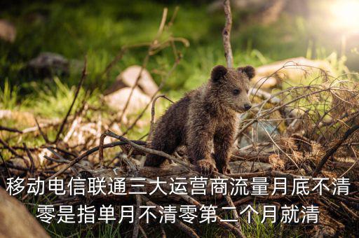 移動電信聯(lián)通三大運(yùn)營商流量月底不清零是指單月不清零第二個(gè)月就清