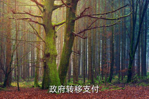 為什么政府提供實物轉(zhuǎn)移支付，一個國家為什么要執(zhí)行轉(zhuǎn)移支付制度