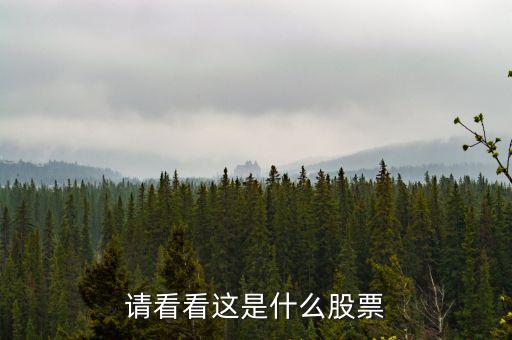993961是什么股票，請看看這是什么股票