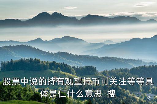股票中持幣是什么意思，股票持幣什么意思