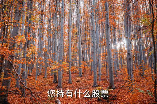 張正委持有什么的股票，香港中央代理人持有哪些股票