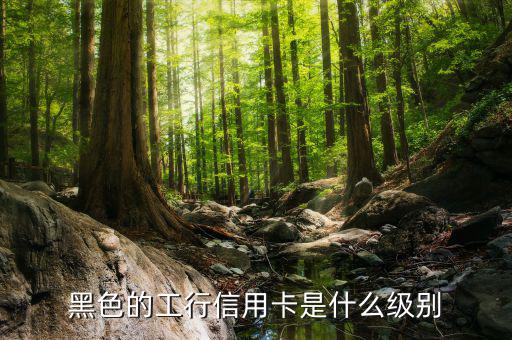 工商銀行的黑卡有什么權(quán)限，工行是不是出了一款運(yùn)通黑卡啊我想問(wèn)的是想申請(qǐng)運(yùn)通黑卡要在當(dāng)?shù)?/></a></span><span id=