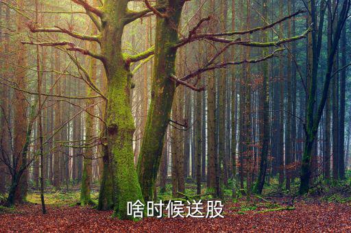 鐵嶺新城什么時候送股，大家都說它出的中報好但我不知道怎么看我只想問問什么么時候