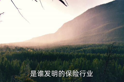 世界上第一家保險(xiǎn)公司是什么，哪位朋友可以說一下世界保險(xiǎn)發(fā)展史