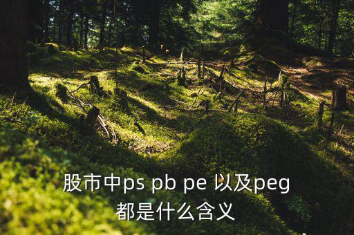 股市peg是什么意思，請(qǐng)問(wèn)在股市里的PEG是什么意思和股價(jià)的關(guān)系怎樣多謝