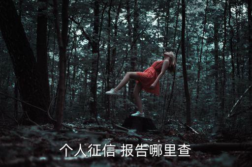 個人信用報(bào)告怎么查,三大信用報(bào)告免費(fèi)查詢服務(wù)