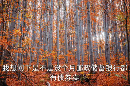 什么時(shí)候銀行承銷債券，政策性金融債承銷分銷流程