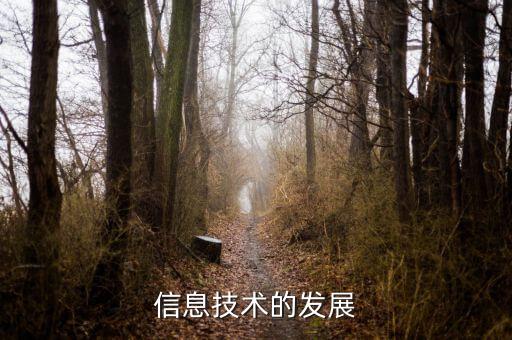 信息發(fā)展是什么板塊，中國軟件 屬于什么板塊