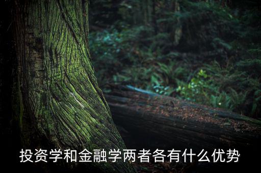 投資學(xué)有什么用，投資學(xué)和稅務(wù)學(xué)專業(yè)各自具體是學(xué)什么的以后就業(yè)前景及方
