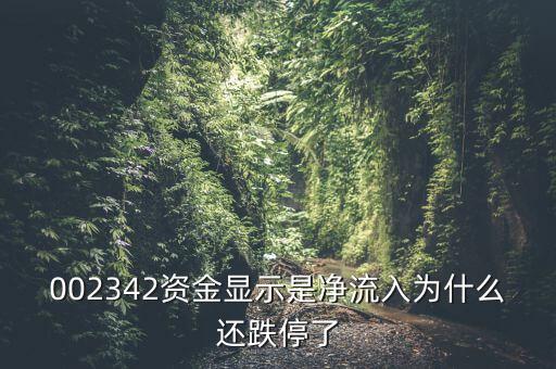 資金凈流入為什么還跌停，資金凈流入怎么還跌停了
