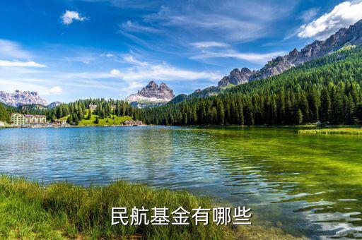 飛機(jī)票還有什么民航基金，民航基金有哪些