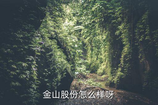 為什么沒(méi)人關(guān)注金山股份，金山股份怎么樣呀