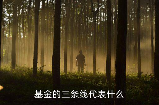 基金滬深兩條線是什么意思，這基金的幾條線分別代表什么意思