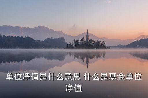 單位凈值什么意思，單位凈值是什么意思