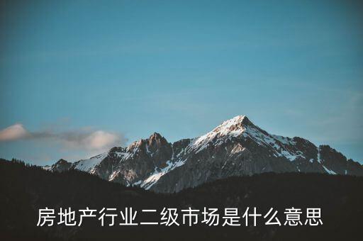 什么是二級(jí)行業(yè)，會(huì)計(jì)中所說的一級(jí)二級(jí)市場(chǎng)是指什么