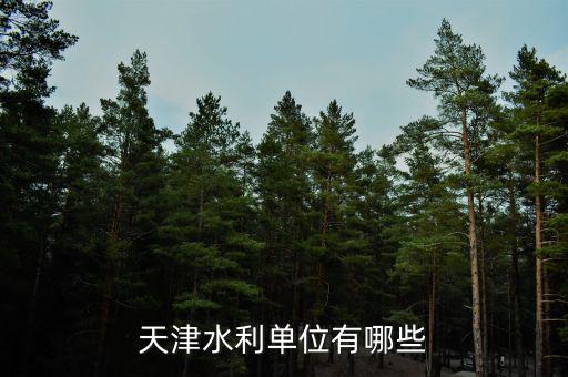 中水致遠(yuǎn)屬于什么單位性質(zhì)，天津水利單位有哪些