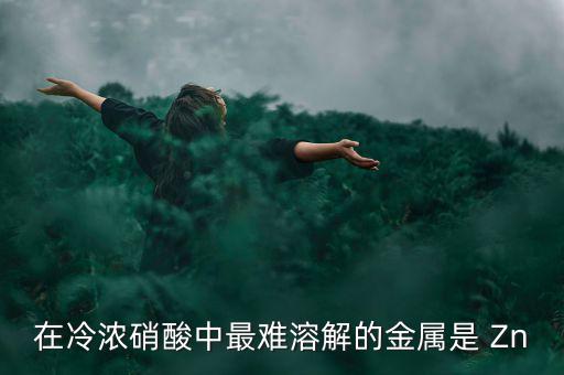 什么金屬易融難化，最不容易融化的金屬是什么想對來說便宜一點(diǎn)的是什么