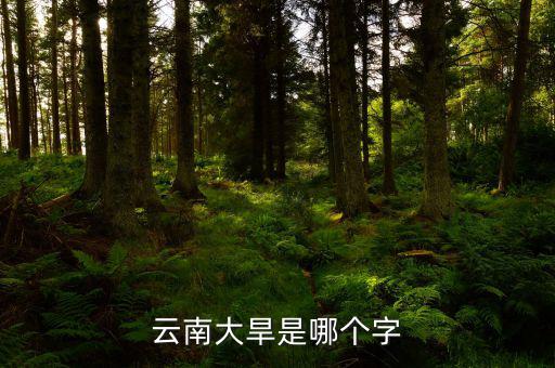 云南大旱是個(gè)什么字，云南大旱是哪個(gè)字