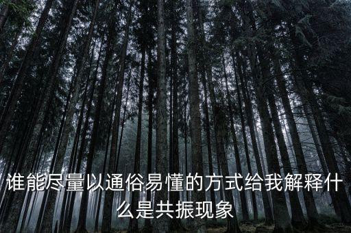 誰(shuí)能盡量以通俗易懂的方式給我解釋什么是共振現(xiàn)象