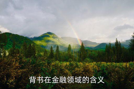 什么是投資背書，什么是背書金融術(shù)語