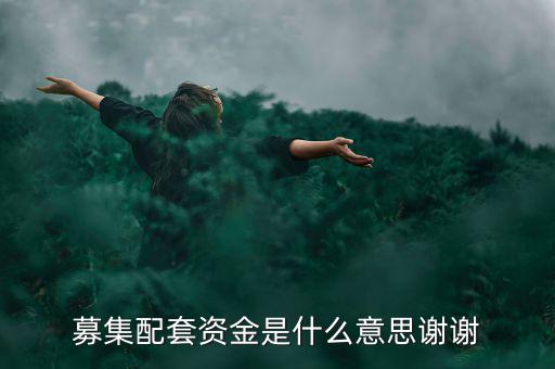 配股募資是什么意思，配股是什么意思啊