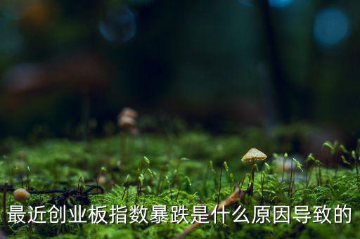 2014創(chuàng)業(yè)板指數(shù)為什么會下跌，為什么股指大幅下跌2014