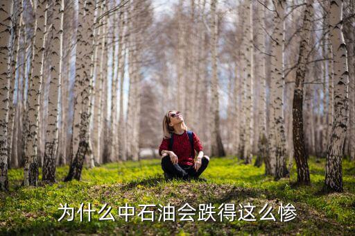 中石油上市為什么狂跌，為什么中石油會跌得這么慘