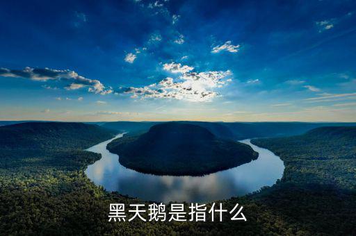 什么叫3大黑天鵝，黑天鵝是指什么
