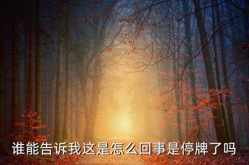 誰(shuí)能告訴我這是怎么回事是停牌了嗎