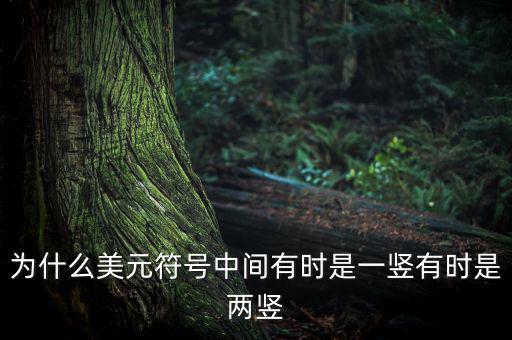 比美元符號多一豎是什么，一個很像美元的符號 但是那一豎是不貫穿S的 也就是S上面有一小豎