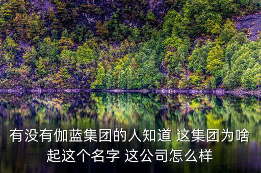 伽藍(lán)集團為什么不上市，伽藍(lán)集團是一家什么企業(yè)