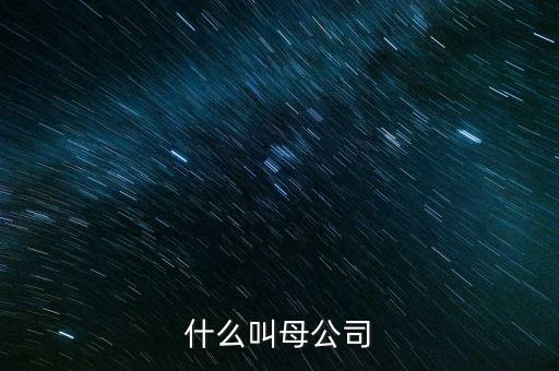 財務報告中母公司是什么意思，財務報表中的合并與母公司是什么意思
