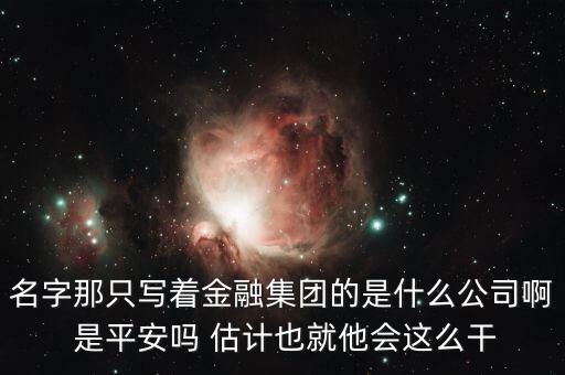 中生金控屬什么企業(yè)，我國四大金融控股公司是什么