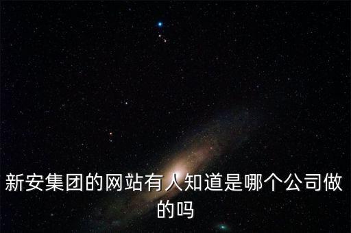 新安股份做什么的，新安集團的網(wǎng)站有人知道是哪個公司做的嗎