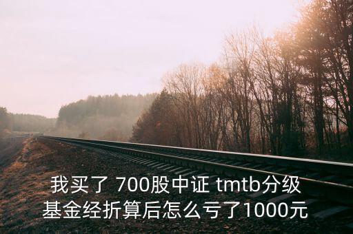 tmtb基金是什么股票，我買了 700股中證 tmtb分級(jí)基金經(jīng)折算后怎么虧了1000元