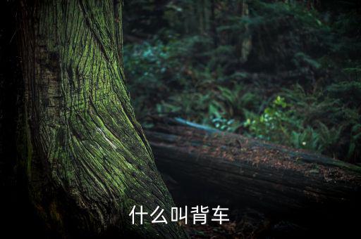汽車背上叫什么來(lái)的，艙背車為何物