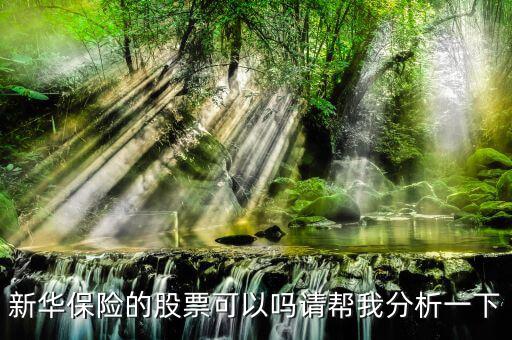 新華保險(xiǎn)為什么股票漲這么多，新華保險(xiǎn)的股票可以嗎請幫我分析一下