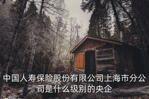 市屬國企是什么級別，省屬和市屬企業(yè)的界定標準是什么