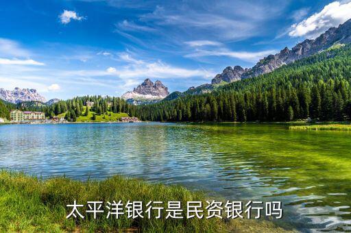 民資為什么銀行，太平洋銀行是民資銀行嗎