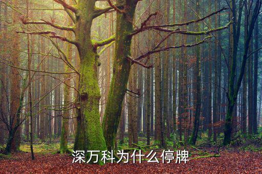 深萬(wàn)科為什么停牌