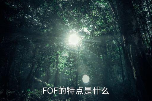 什么是fof，ETF基金和FOF有何區(qū)別