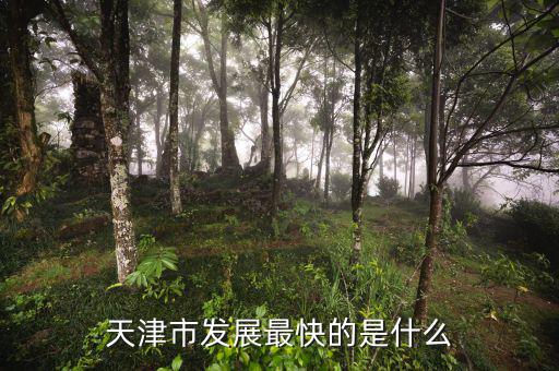 天津靠什么發(fā)展，天津市發(fā)展最快的是什么