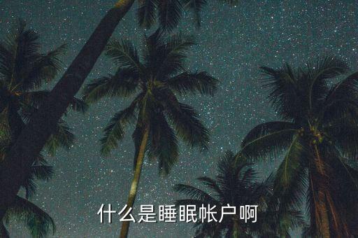 什么是睡眠賬戶，什么是睡眠帳戶啊