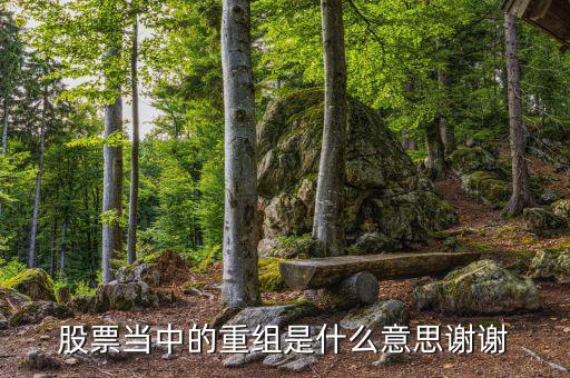 什么是重組，重組在電腦術(shù)語中什么意思