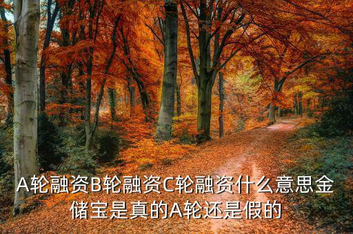 幾輪融資是什么意思，A輪融資B輪融資是什么意思