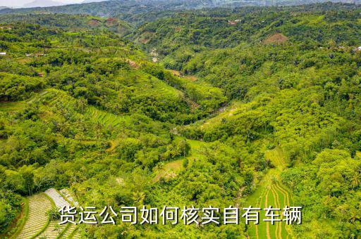 貨運(yùn)資產(chǎn)是什么意思，貨運(yùn)公司如何核實(shí)自有車輛