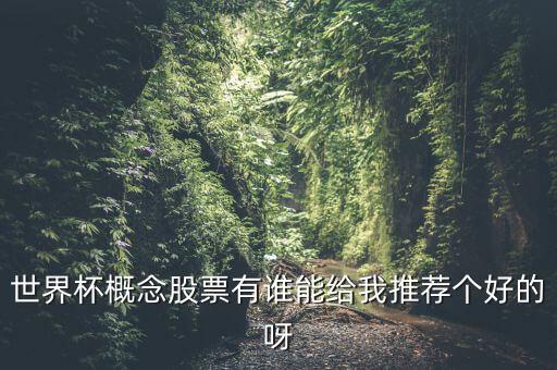 世界杯什么股票好，世界杯概念股票有誰(shuí)能給我推薦個(gè)好的呀
