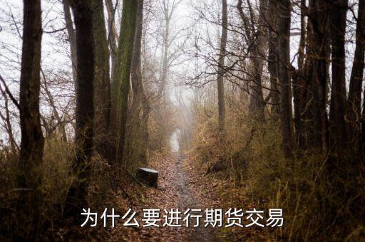 為什么國(guó)內(nèi)期貨，為什么要做期貨投資